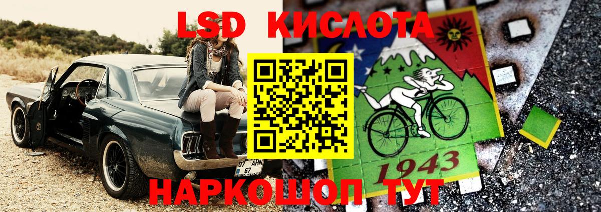 Псилоцибиновые грибы Карталы