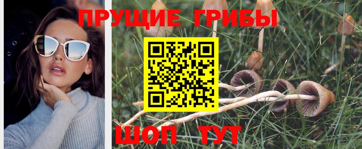 Галлюциногенные грибы ЛСД Карталы