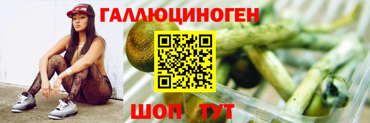 купить наркотики сайты  Галлюциногенные грибы GOLDEN TEACHER  Галлюциногенные грибы ЛСД  Вход с VPN  Карталы 